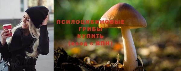 ECSTASY Верхний Тагил